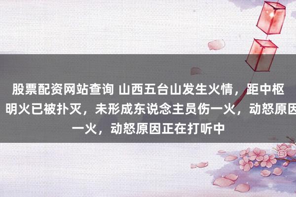 股票配资网站查询 山西五台山发生火情，距中枢区约2公里，明火已被扑灭，未形成东说念主员伤一火，动怒原因正在打听中