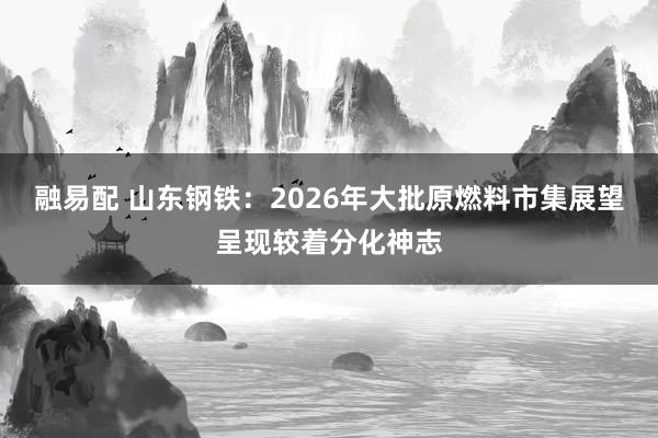 融易配 山东钢铁：2026年大批原燃料市集展望呈现较着分化神志