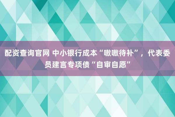 配资查询官网 中小银行成本“嗷嗷待补”，代表委员建言专项债“自审自愿”